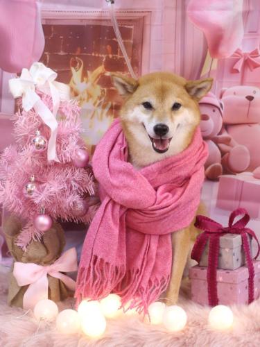 20241204シュウくん